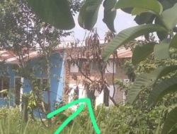 Pengedar Paket Hemat Sabu Berkeliaran di Gang Murni 26 Wilkum Polsek Medan Tembung