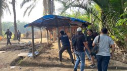 Satresnarkoba Polres Binjai Kembali Grebek Dan Hancurkan Barak Narkoba Di Desa Perdamaian