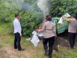 Polsek Binjai Kembali Grebek Sarang Narkoba Di Tandem Hilir
